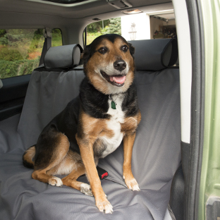 CURT Seat Defender universal seat cover grey bench seat - dog